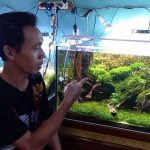 Denny Cagur Asal Lampung Sukses Usaha Aquascape