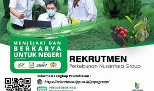 Perkebunan Nusantara Group