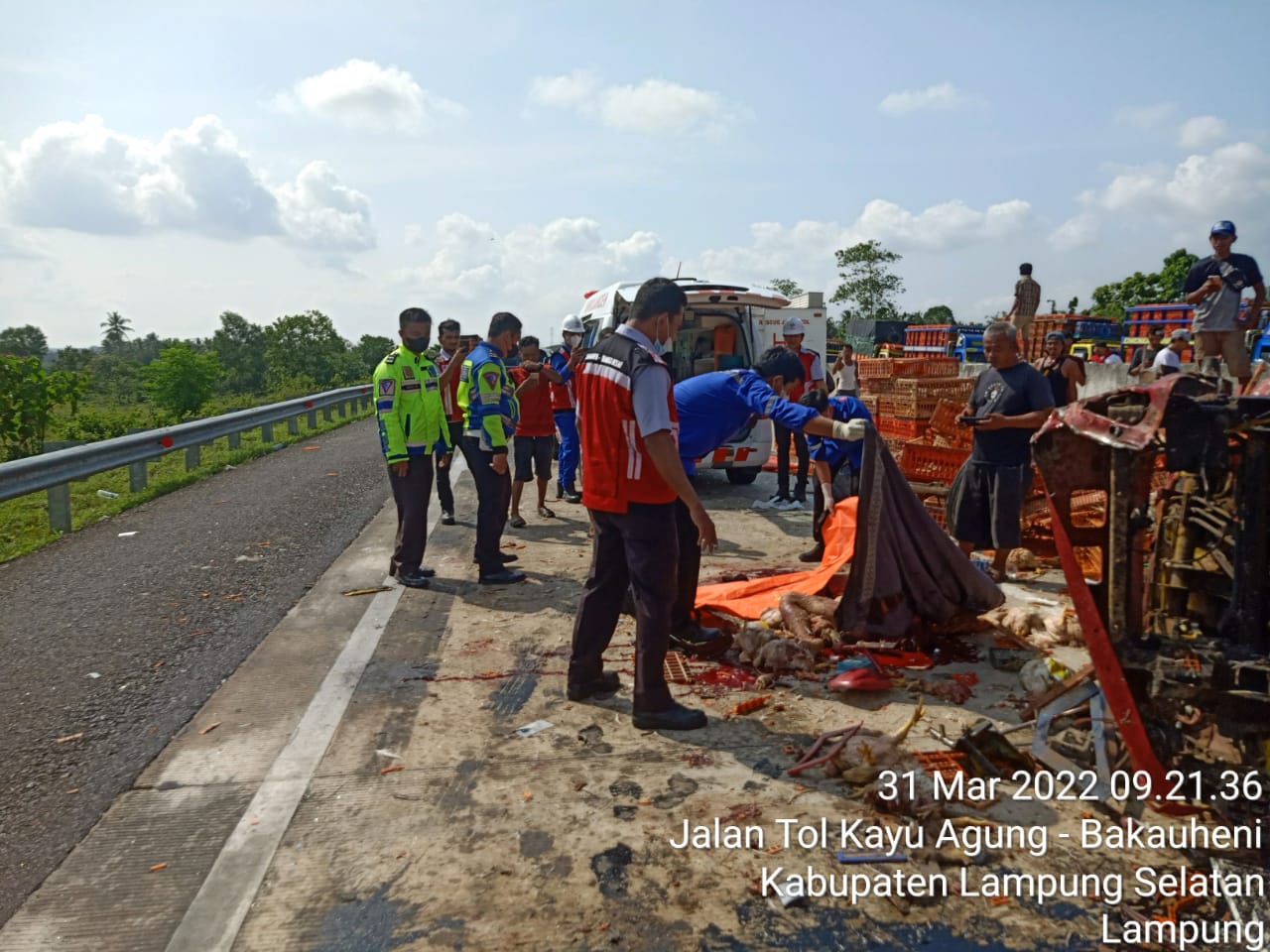 Kecelakaan Tol Lampung Tewaskan Satu Penumpang, Begini Kronologinya