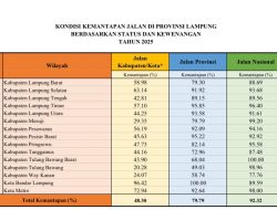 Miris!! Segini Ketimpangan Jalan Provinsi dan Kabupaten di Lampung